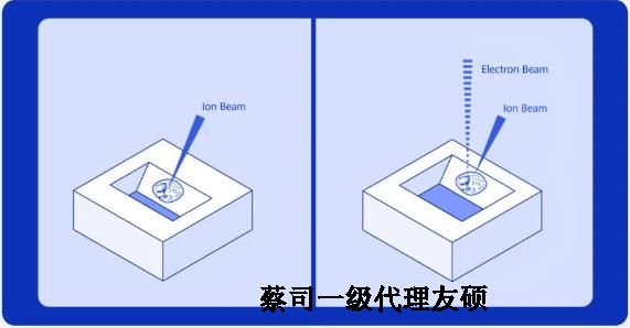 和田扫描电子显微镜